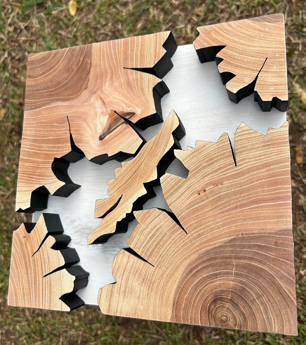 Abstract wall art piece